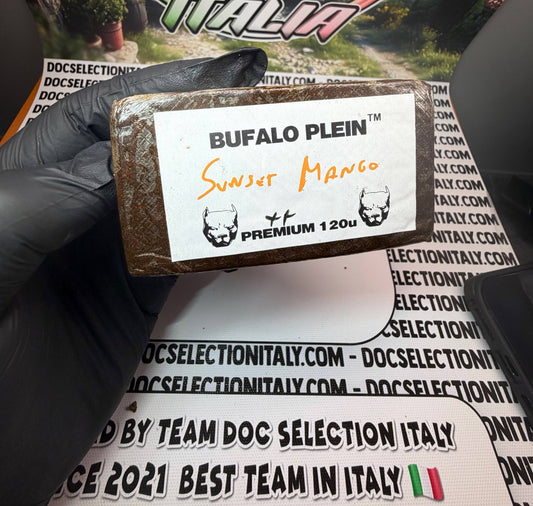 Filtred 120u Premium Bufalo Plein - SUNSET MANGO
