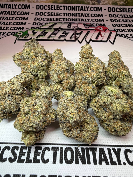 TOP Californiana Farmaceutica - WHITE TRUFFLEZ